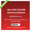 New Delhi City B2B Business Database – 500,000 Records