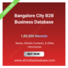 Bangalore City B2B Business Database – 100,000 Records